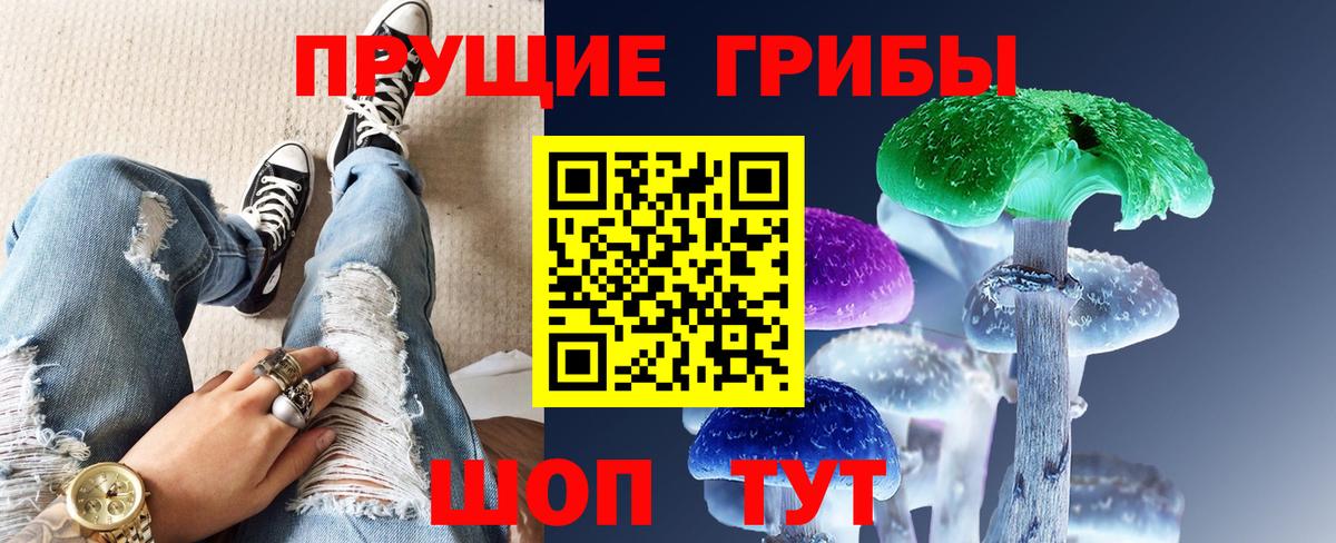 Электрогорск  Псилоцибиновые грибы Psilocybine cubensis  Галлюциногенные грибы Psilocybe  Вход с VPN 